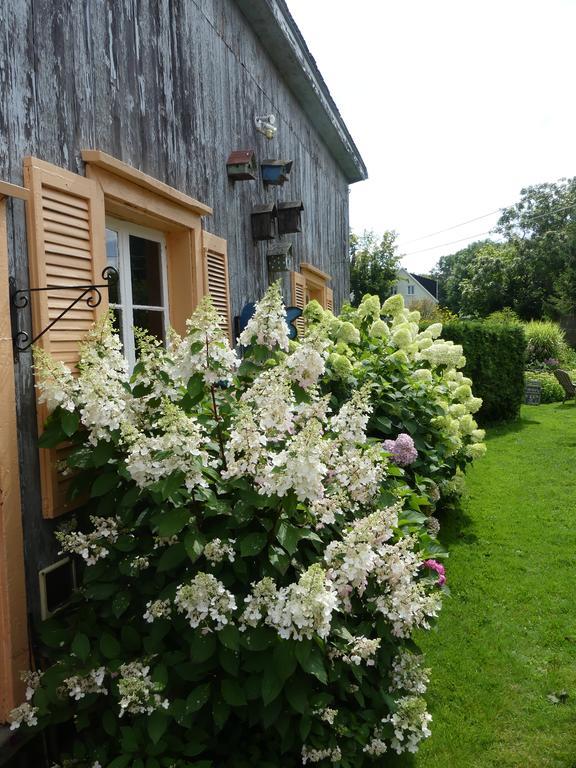 Gite Du Village - Deschambault Esterno foto